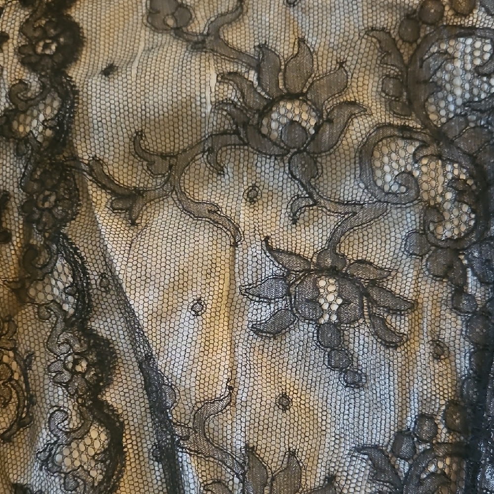 Wounded Bird! Antique 1800s Elegant Black Lace Women's Top - Picture 10 of 17